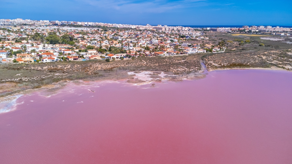 Laguna Rosa Torrevieja Laguna Rosa Torrevieja